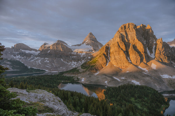 Mount Assiniboine - Wild Life Distillery Phil Forsey