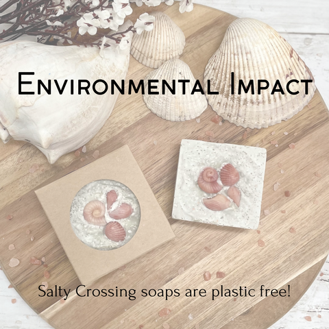 environmental impact graphic plastic free packaging and shipping