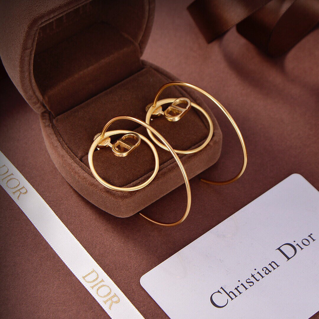 DIOR 2022 New Earrings Ear Studs Eardrop