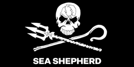 Black and White Sea Shepherd logo