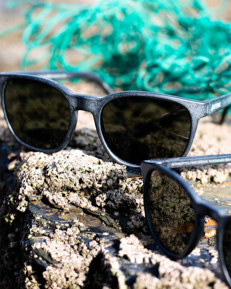 waterhaul fitzroy recycled plastic sunglasses on beach