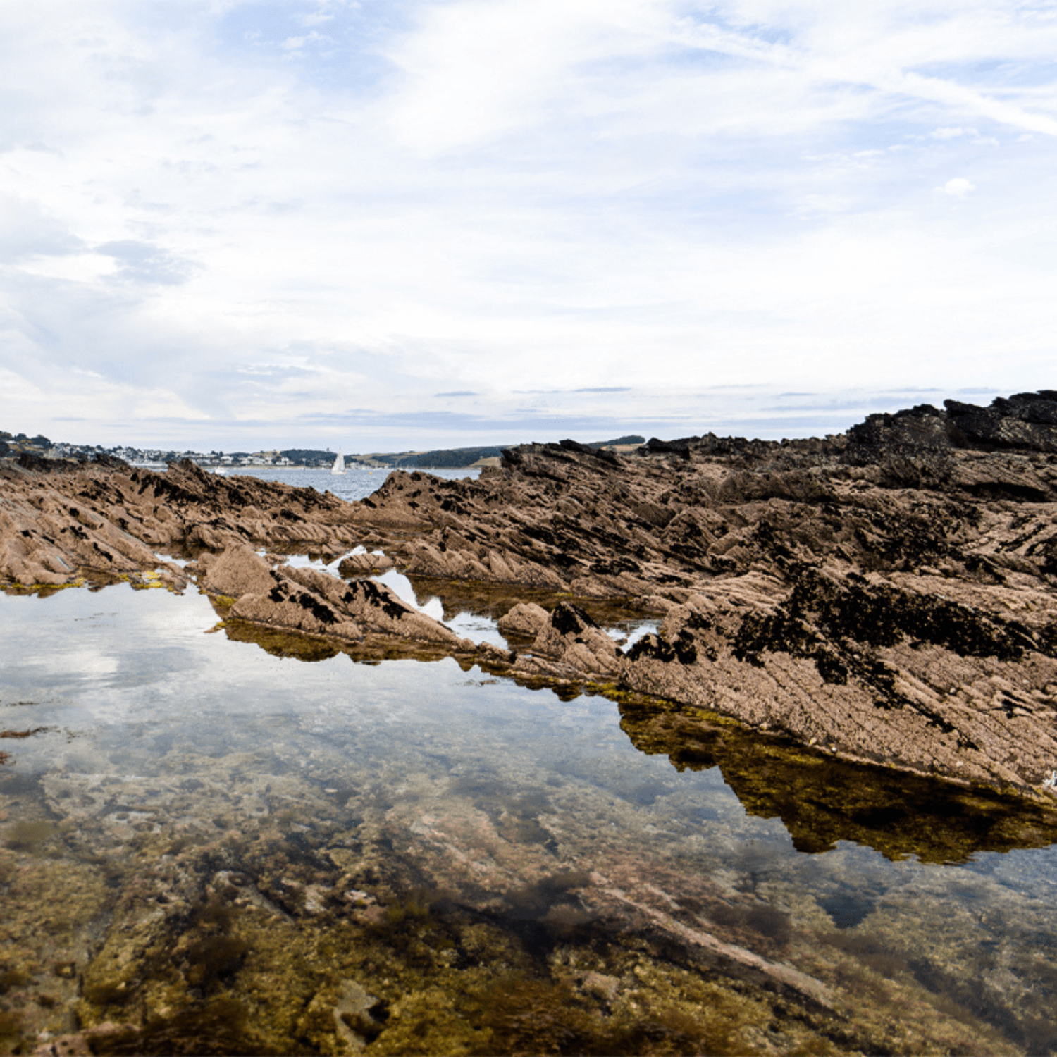 Tidal pool with brown rocks covered in limpets and mussels.