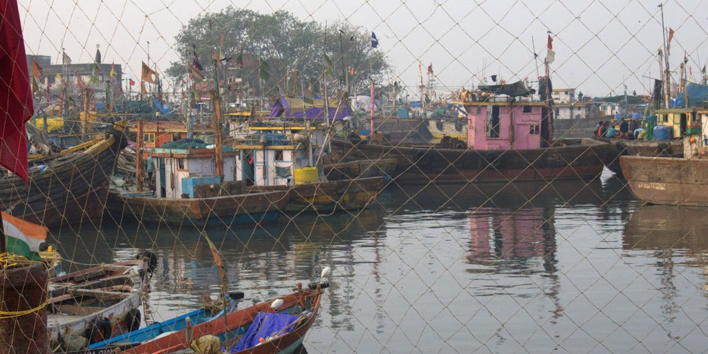 sassoon docks photo