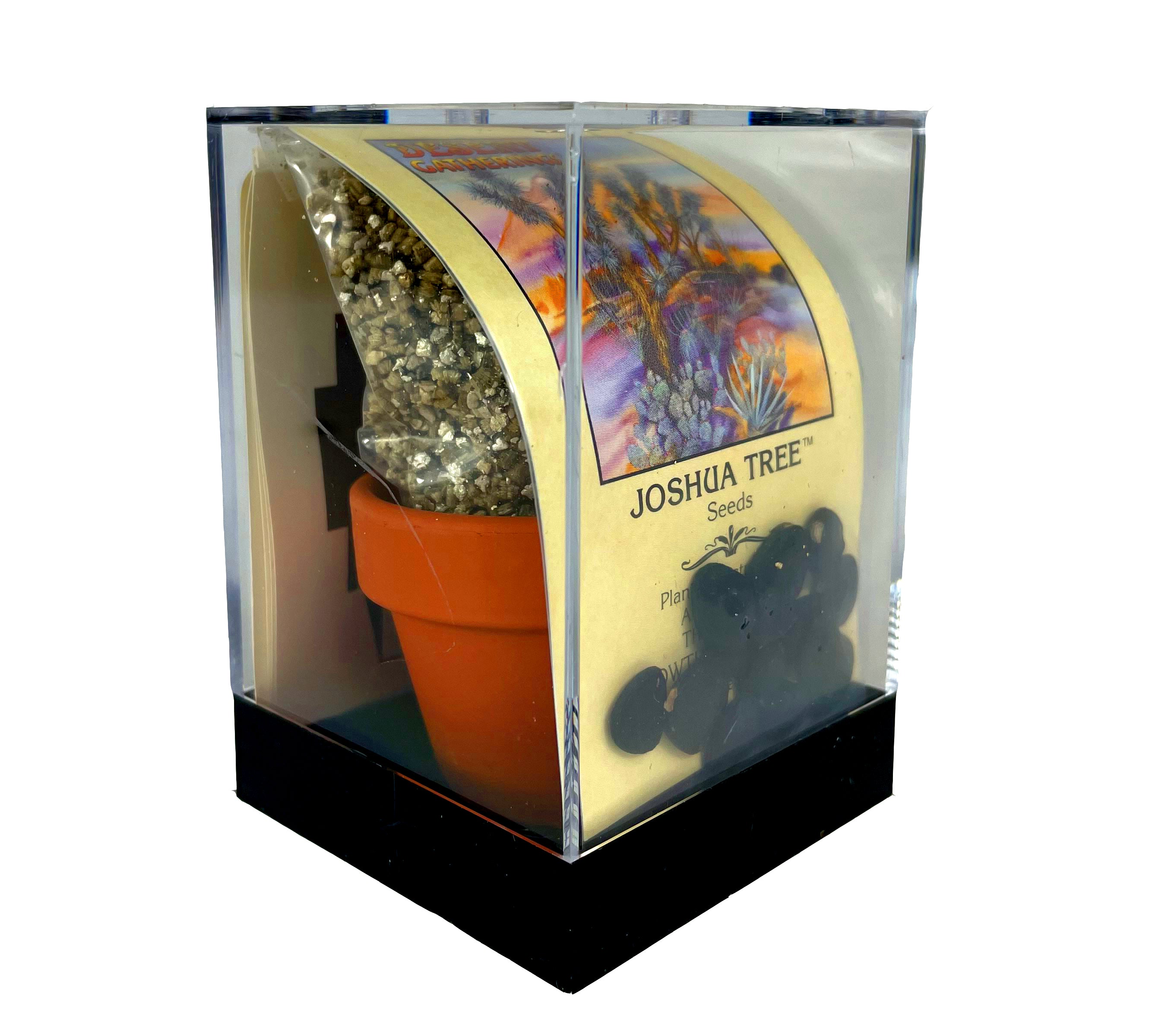 Grow Your Own Joshua Tree Kit