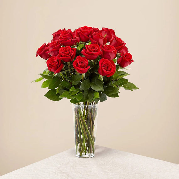 Rosas Rojas Enamorar, Floristería Flores 24 Horas – Flores 24 Horas  Floristería