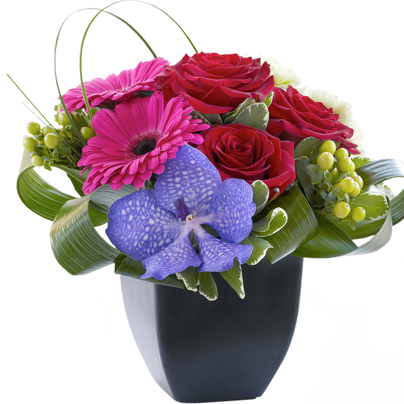 Rosas, Gerberas, Lirios y Orquídea, Flores para decoración y hogar – Flores  24 Horas Floristería