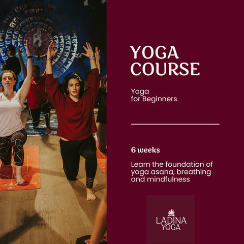 Yoga for beginners: a solid foundation you can build on (Batch 2 in Ma – Ladina  Yoga