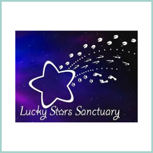 LUCKY STARS SANCTUARY