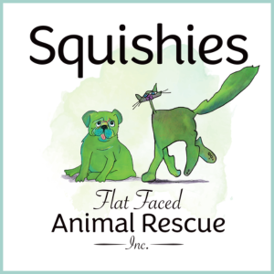 SQUISHIES FLAT FACED ANIMAL RESCUE