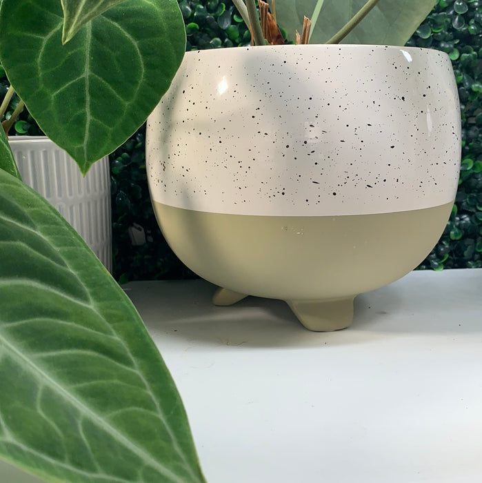 7” white beige pedestal pot