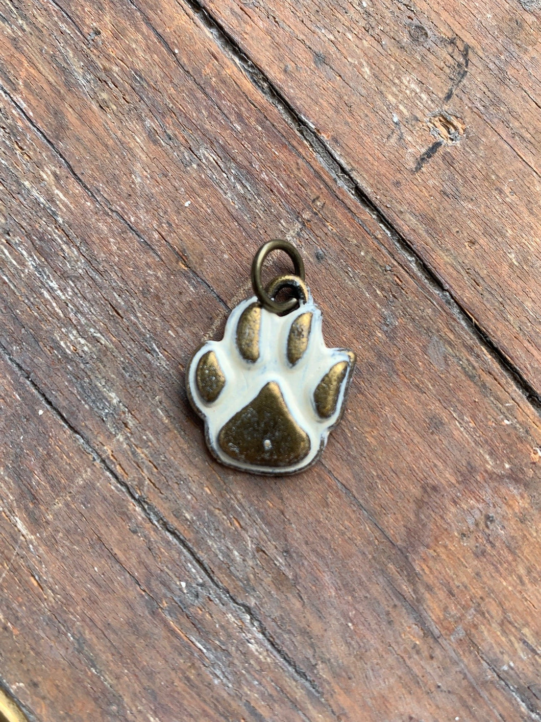 Paw Charm Only