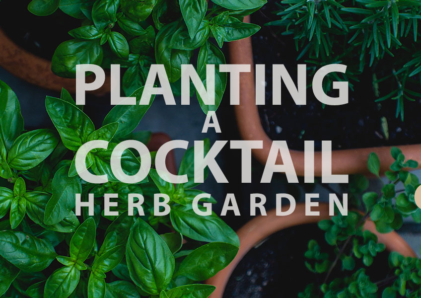 Planting Cocktail