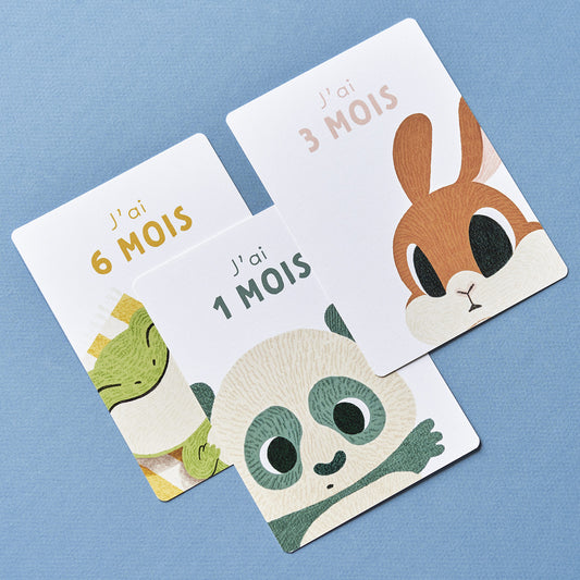  J'apprends l'alphabet Malgache avec les animaux (trad. FR /  EN): Cahier d'activités alphabet / animaux - dès 3ans - Loova Collection -  Livres