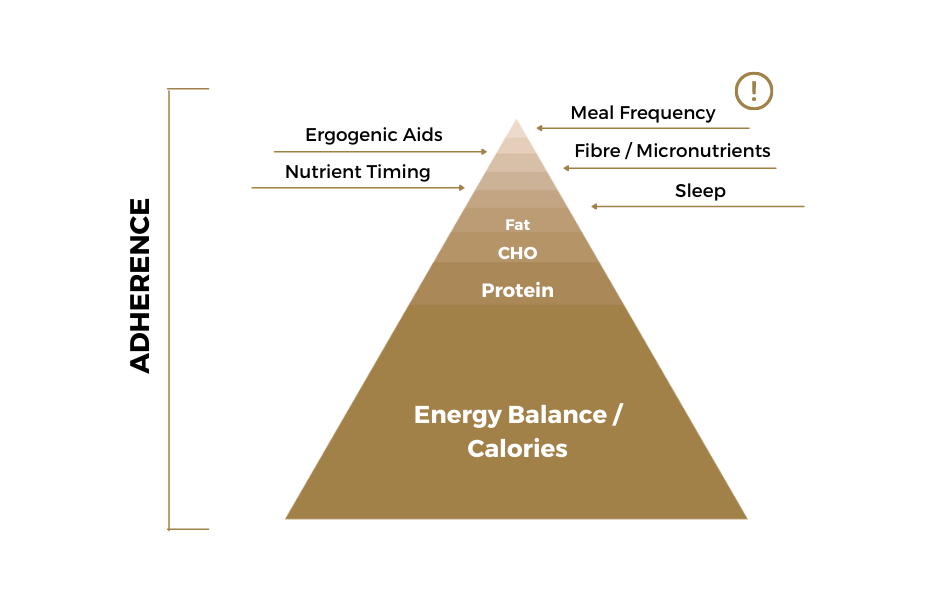 pet-hamper-Fat-Loss-Hierarchy