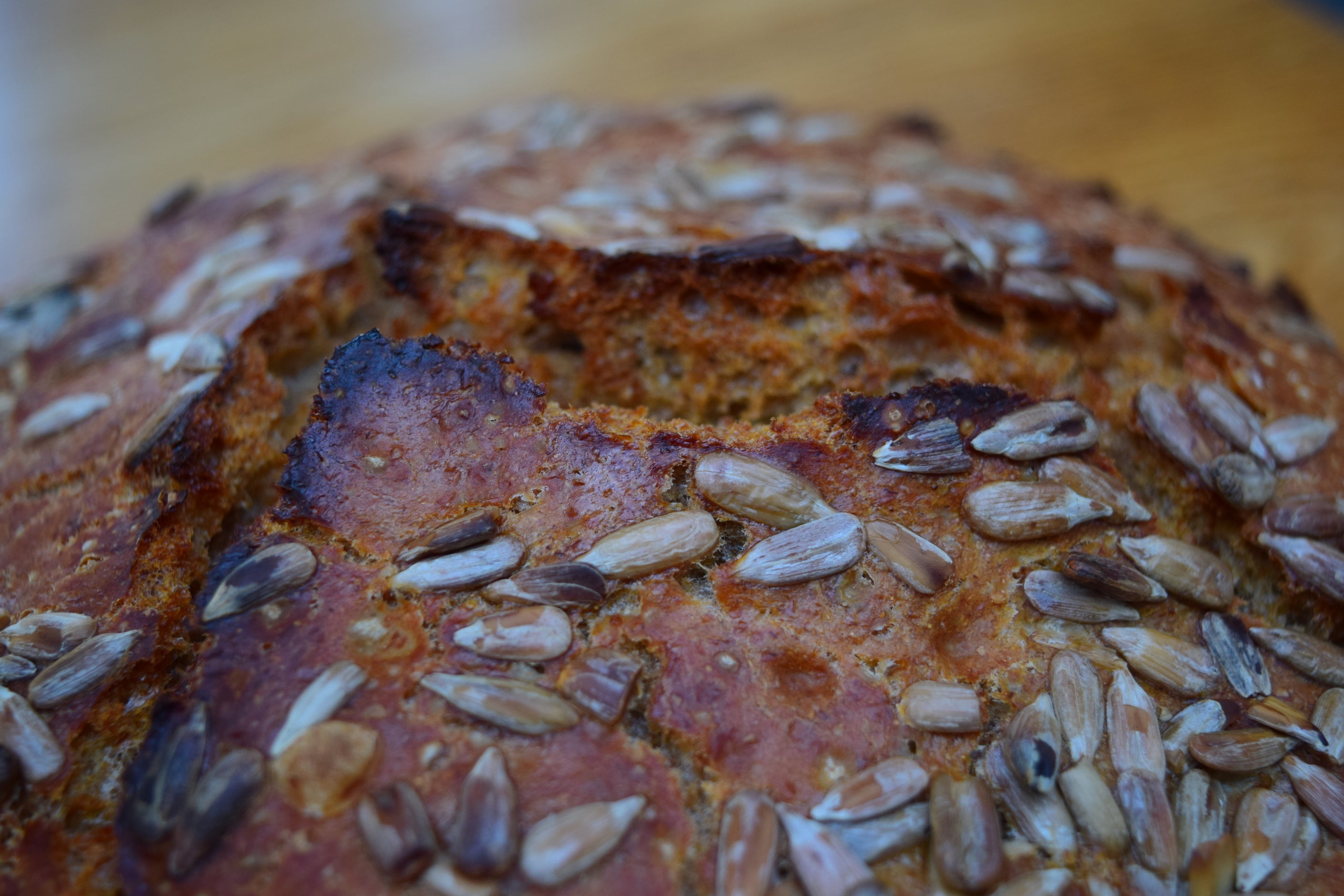  LoafNest: Incredibly Easy Artisan Bread Kit. Cast Iron