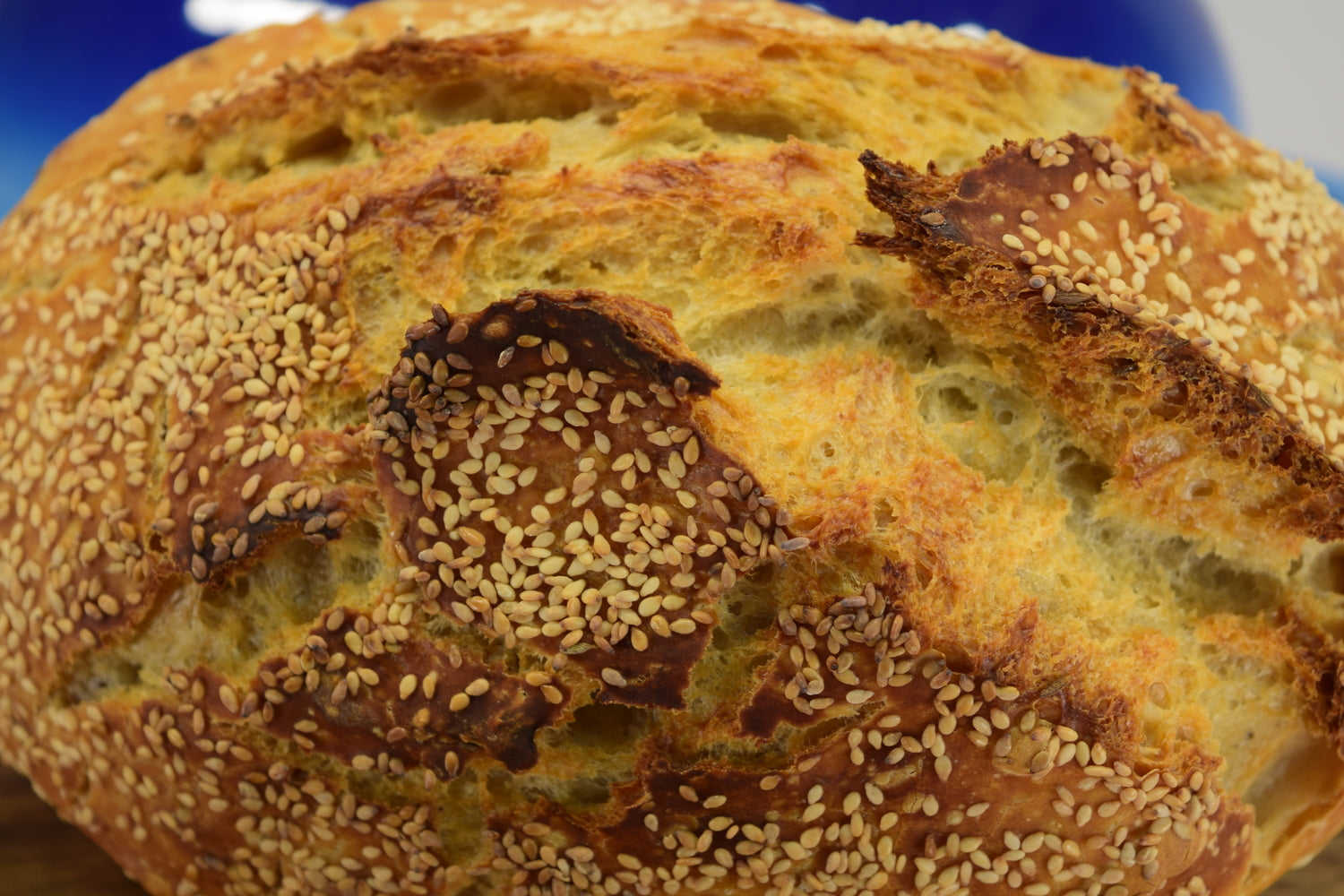 LoafNest: Incredibly Easy Artisan Bread Kit. Cast Iron Dutch Oven [Blue  Gradient] and Perforated Non-Stick Silicone Liner.