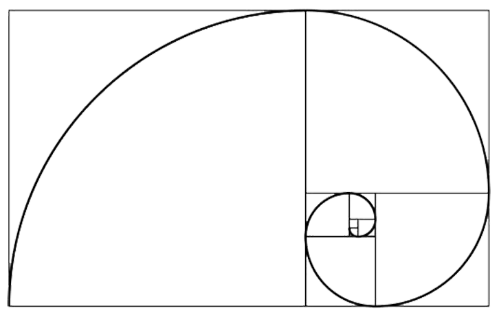 The Golden Ratio concept depicting a spiral that looks like a sea shell.