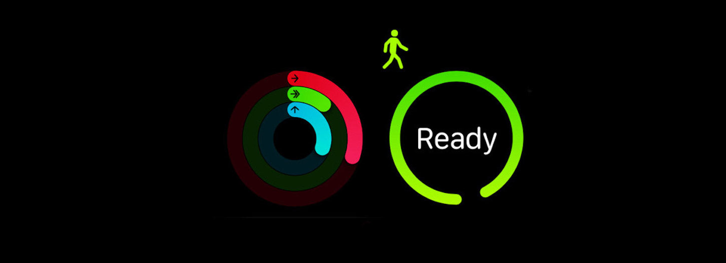 Data Visualization: Apple activity monitor display