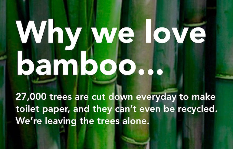 image with the main text of "Why we love bamboo" with rows of bamboo in the background