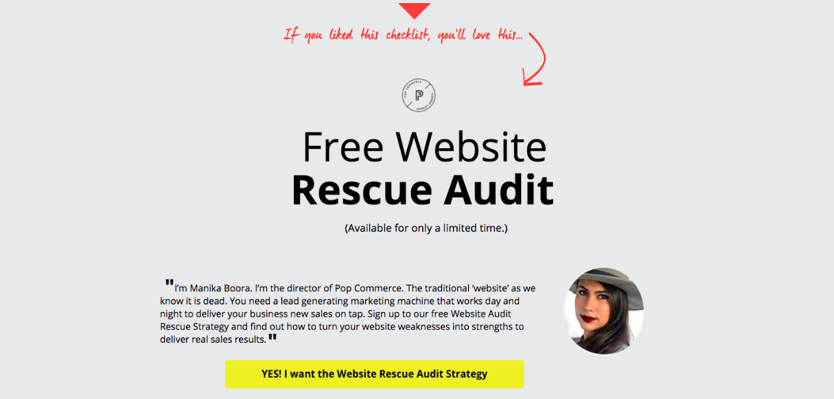 Free website rescue audit