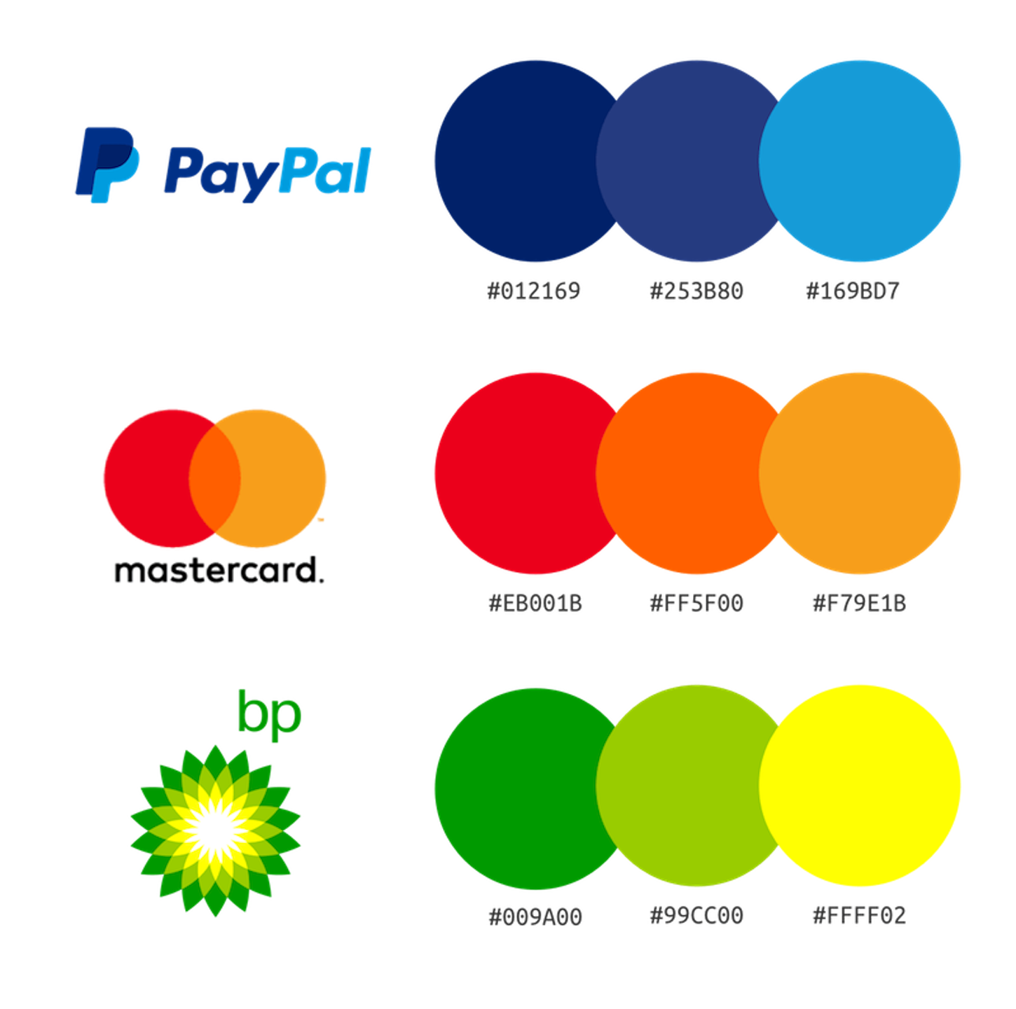 Visual Language: Brand Colors