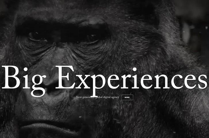 Web Design Trends 2016: Big Experiences