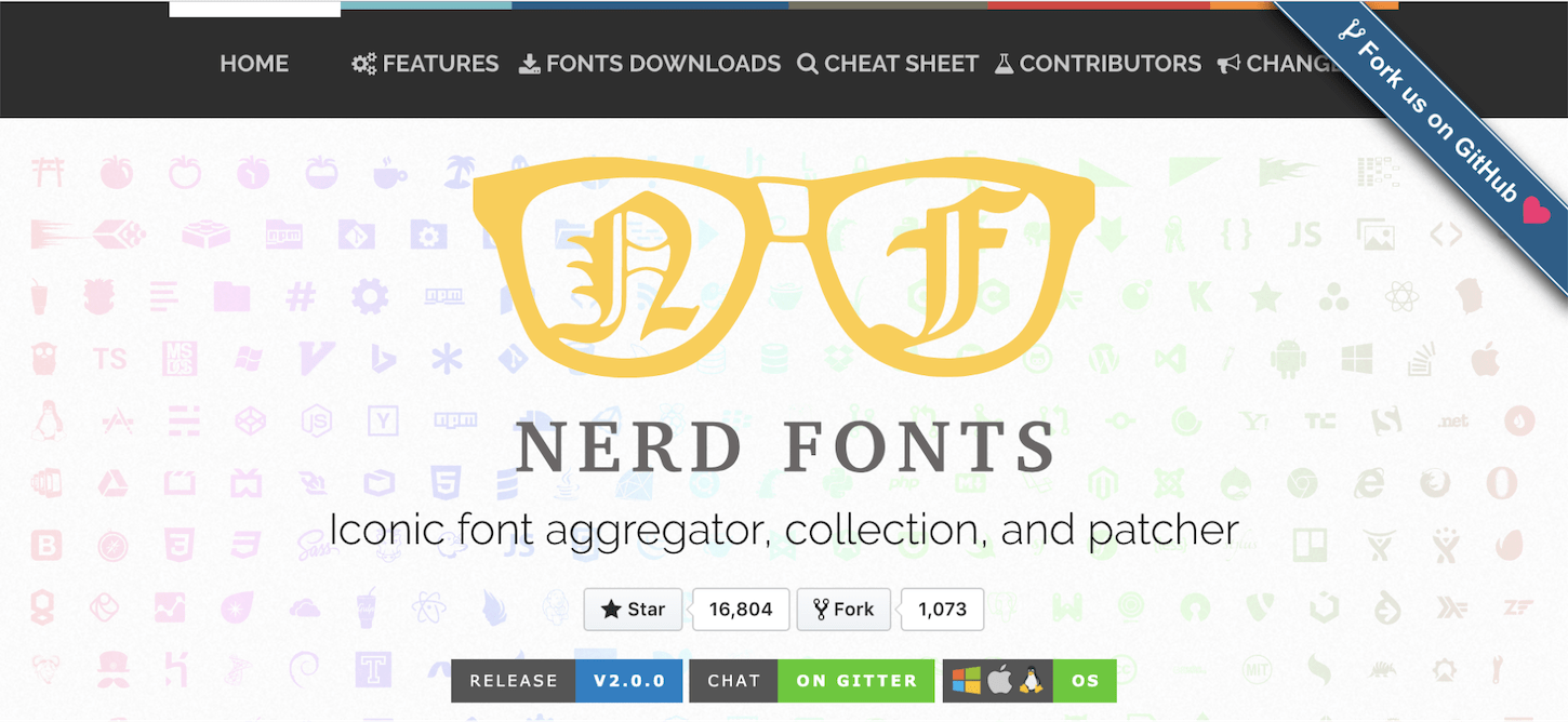 customize terminal: nerd fonts