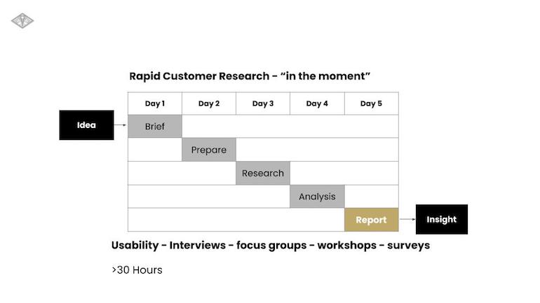 ecommerce trends: Biglights rapid customer research infographic 