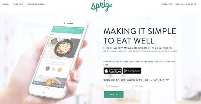 Ecommerce Website Design - Sprig