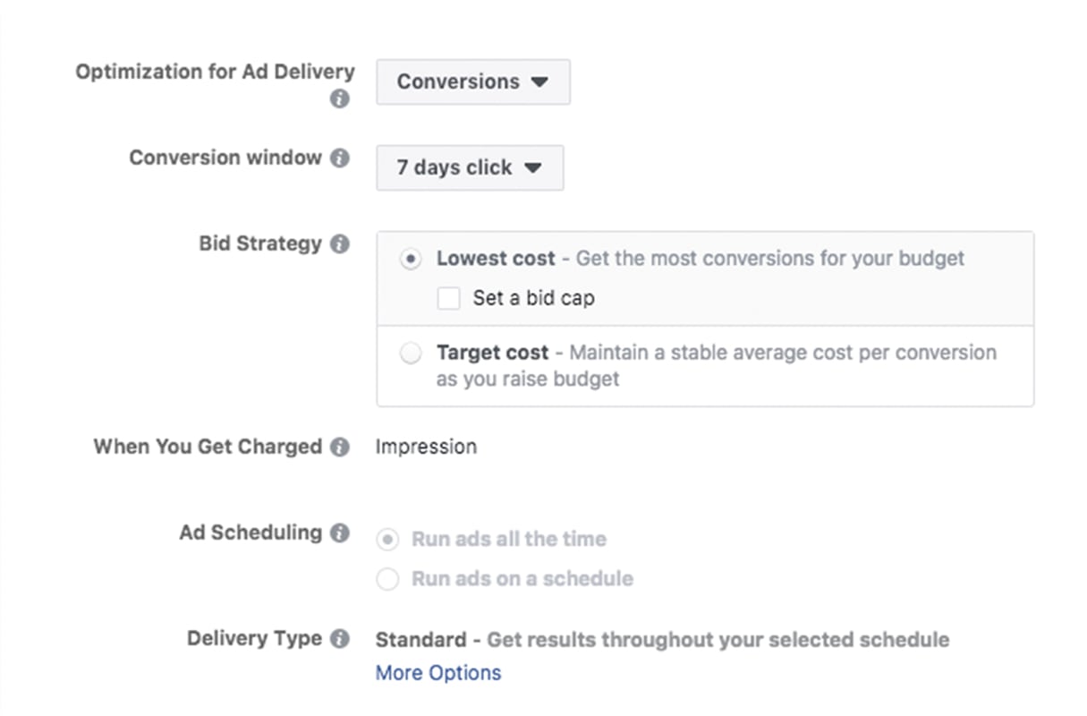 facebook marketing: automatic manual