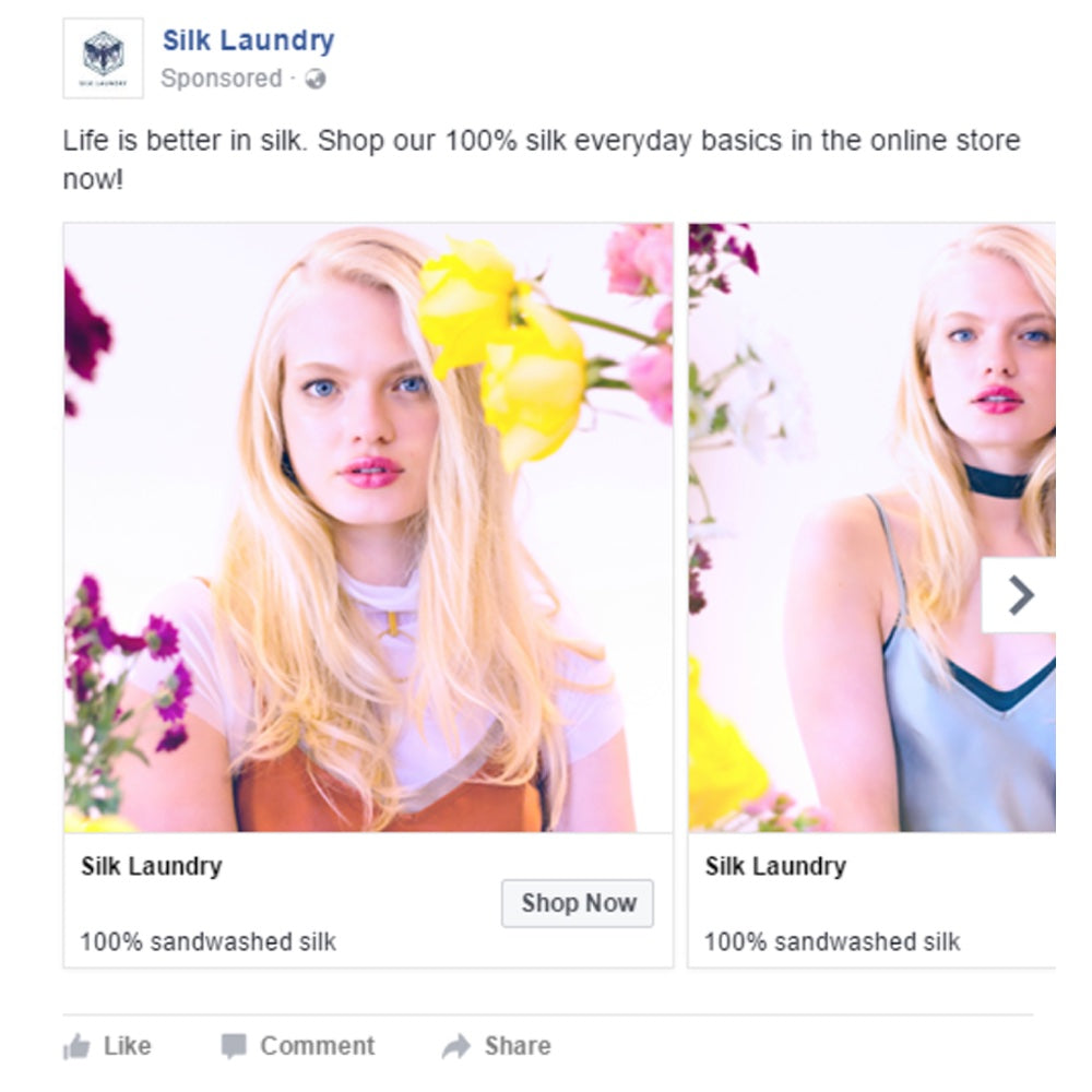 Successful Marketing Campaigns: Silk Laundry