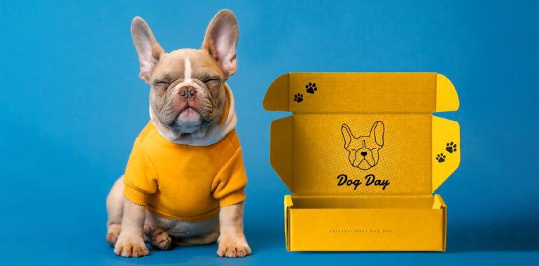 unboxing: a dog wearing a yellow sweater, sitting beside a yellow open box, in front of a blue backdrop 