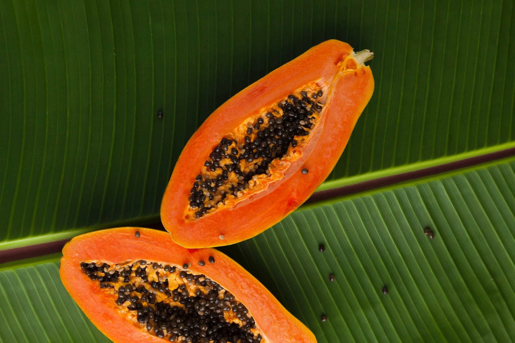 Papaya özü nedir, papaya ekstraktının faydaları, papaya bitkisi cilt bakımı Soapy Co. 