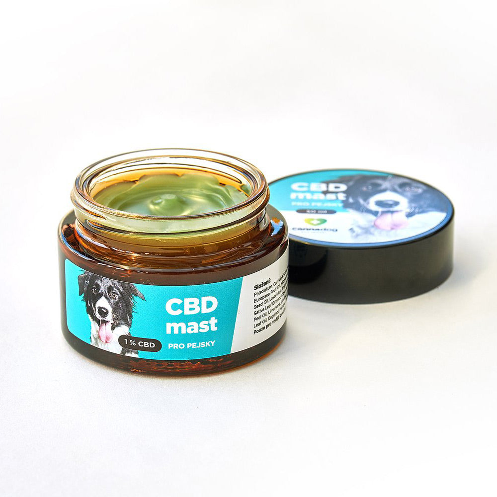 
                  
                    CBD ointment for dogs Cannadog
                  
                