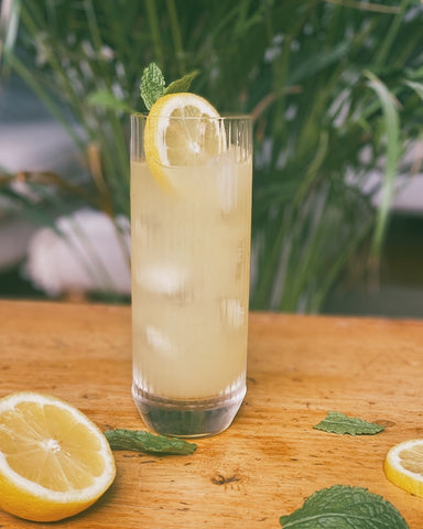 Delicious glass full of elderflower gin punch. The glass is shown with a lemon wheel and sprig of mint garnish, sat on a wooden table with a green, leafy plant behind. On the table are more lemon wheels and mint leaves.