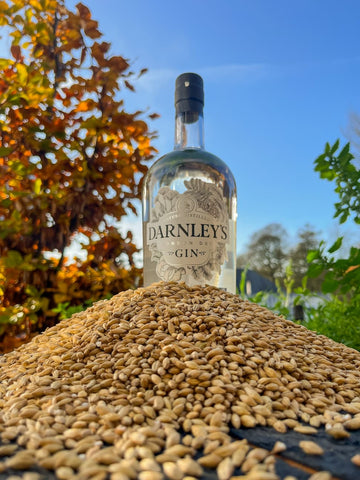 Darnley's Smoke & Zest Gin on a pile of barley in the autumn