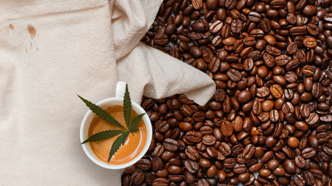 The-Benefits-of-Mixing-CBD-and-Coffee-Be-Your-Highest