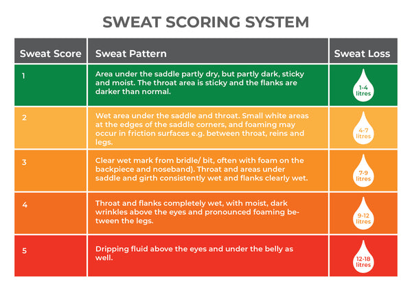 horse sweat score chart