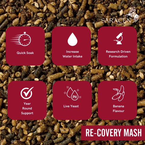 benefits of Recovery mash