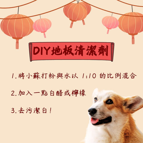 How to Clean Your Home Safely for Your Pets Before Chinese New Year 2