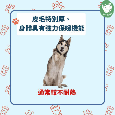 皮毛特別厚、身體具有強力保暖機能的寒帶犬，通常較不耐熱，例如雪橇犬