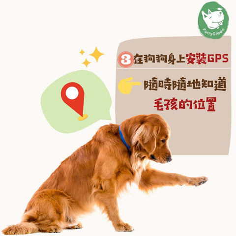 如何防止狗狗走失 狗狗身上安裝GPS
