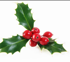 Pet Safety During the Christmas Season: Protecting Your Furry Friends 2. Mistletoe