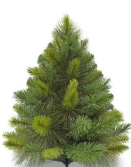 Pet Safety During the Christmas Season: Protecting Your Furry Friends 4. Christmas Tree