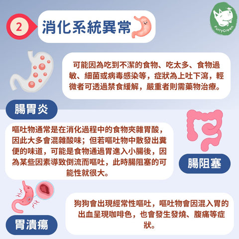 狗狗嘔吐原因_消化系統異常_腸胃炎