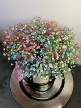 Lade das Bild in den Galerie-Viewer, Blumenbox Rainbow Buntes Schleierkraut
