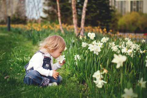 Girl smelling daffodils