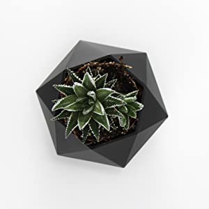 LANGTU Magnetic Levitating Air Bonsai Pot Floating Flower Pot Rotating Potted Planter for Home, Office & Desk Decor Black