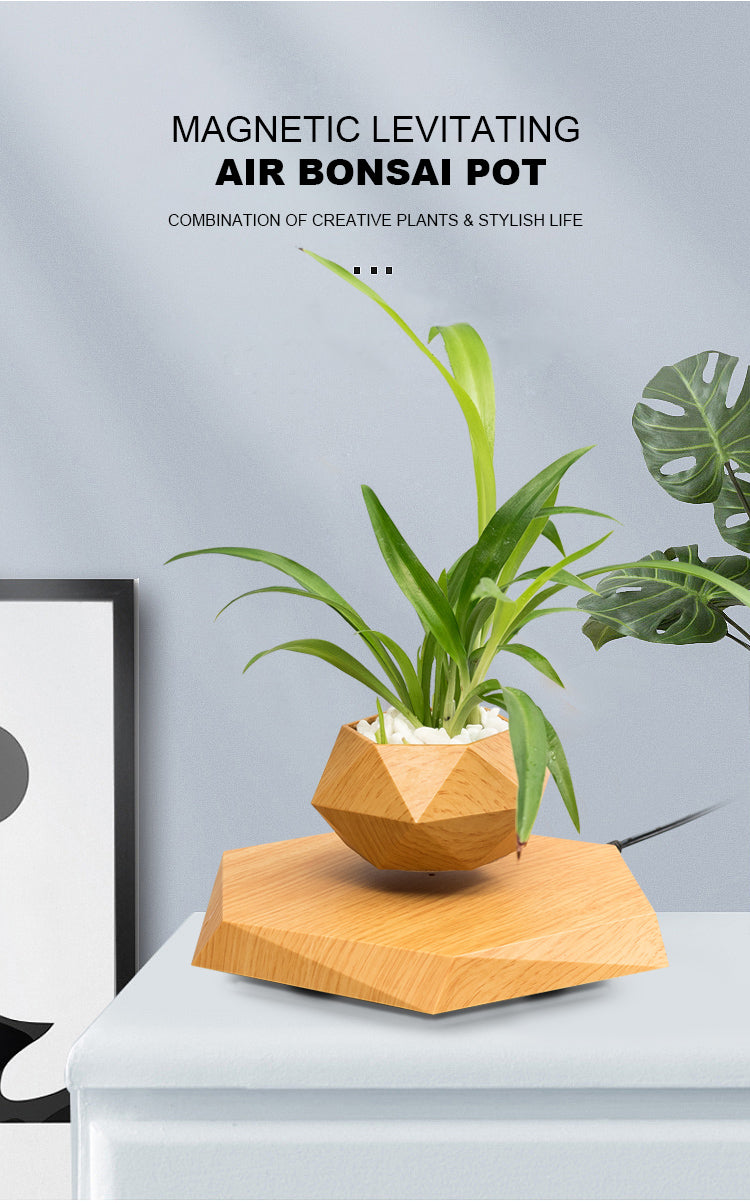 LANGTU Magnetic Levitating Air Bonsai Pot Floating Flower Pot Rotating Potted Planter for Home, Office & Desk Decor Wooden Maple