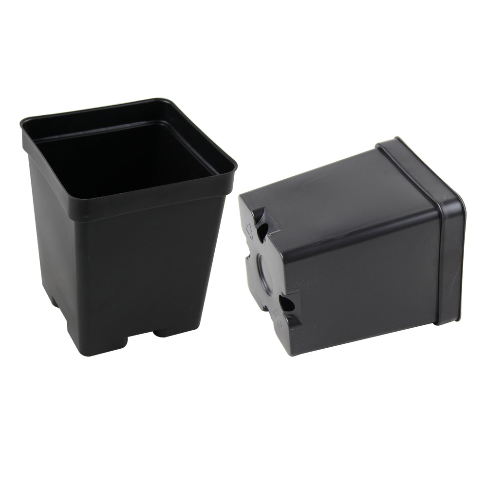 4.25 Black Deep Square Greenhouse Pots - P107D - Grower's Solution